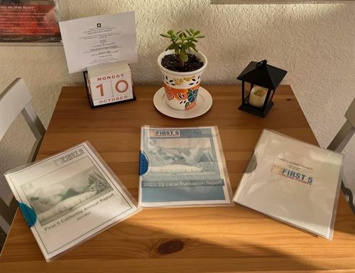 folders on a table with a plant